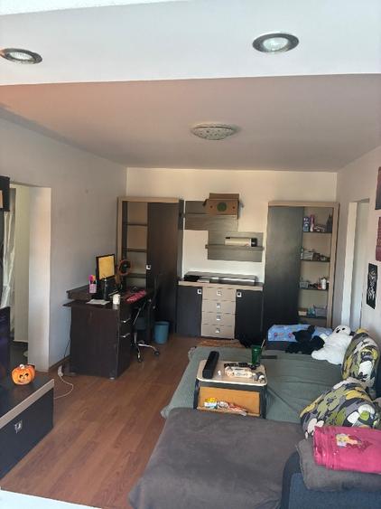 Izvorul Rece Drumul Gazarului 4 camere - 11