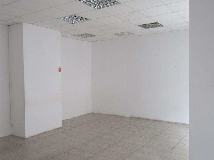 Inchiriere spatiu comercial Teiul Doamnei - 20