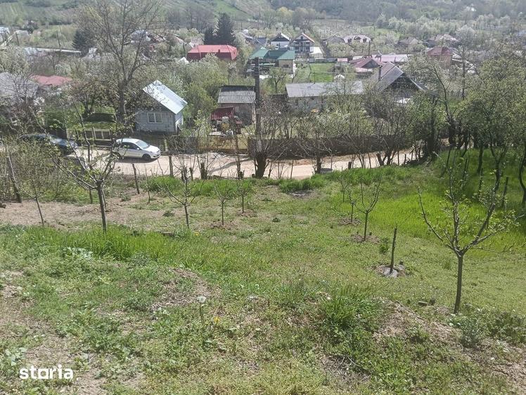 Casa de vacanta - 8