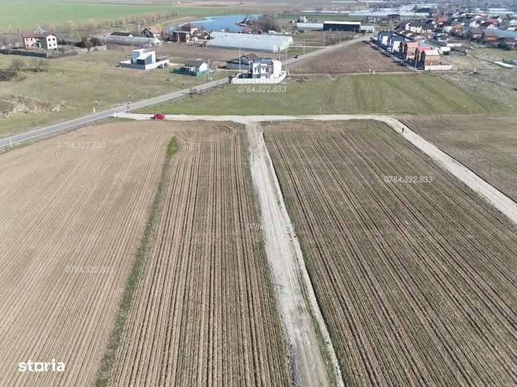 Teren 490500 mp Finan?are direct proprietar aproape Bucure?ti - 6