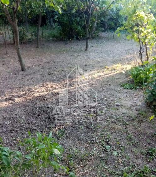 Casa veche in Timi?oara cu teren generos 806 mp - 1