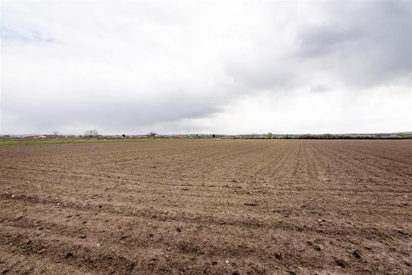 RECO . TEREN INTRAVILAN OSORHEI - 10