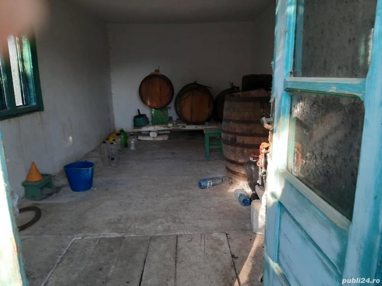 Casa cu teren intravilan Enisala 3590 mp - 8