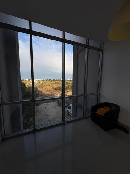 Spațiu comercial, de 160 mp, în Theodor Pallady