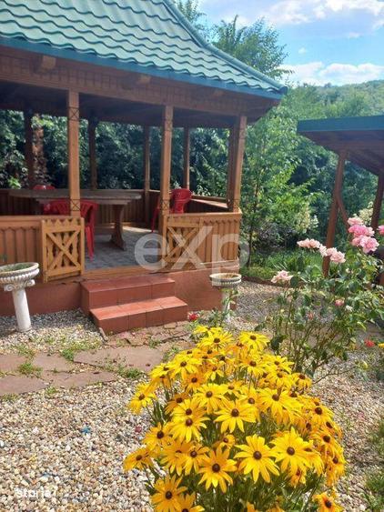 Casa la tara complet mobilata, 5.500 mp teren Toplita, Malureni, A - 2