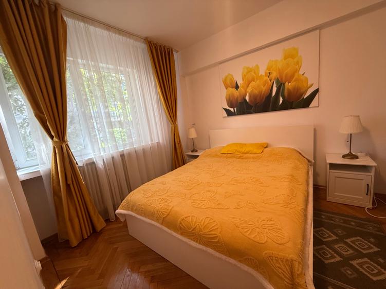 Apartament 2 Camere Cismigiu ** Mobilat si Utilat* - 10