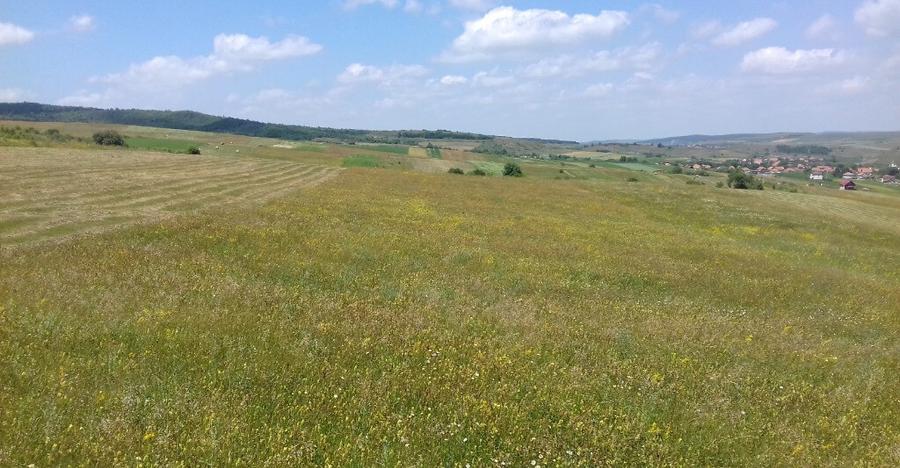 Vand teren intre Popesti si Corusu(jud. Cluj),in apropierea padurii - 2