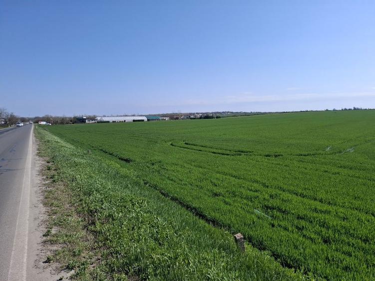 Teren extravilan Agigea - 2