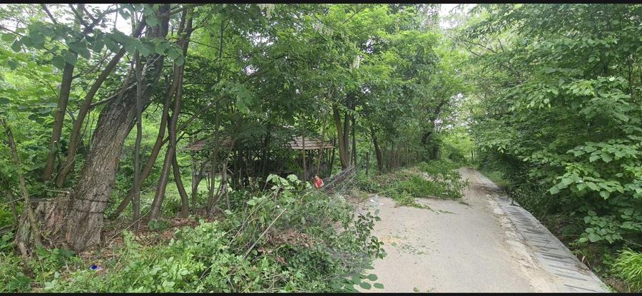 Teren intravilan 4.281 mp la munte, cu deschidere de 66ml si priveliste - 1