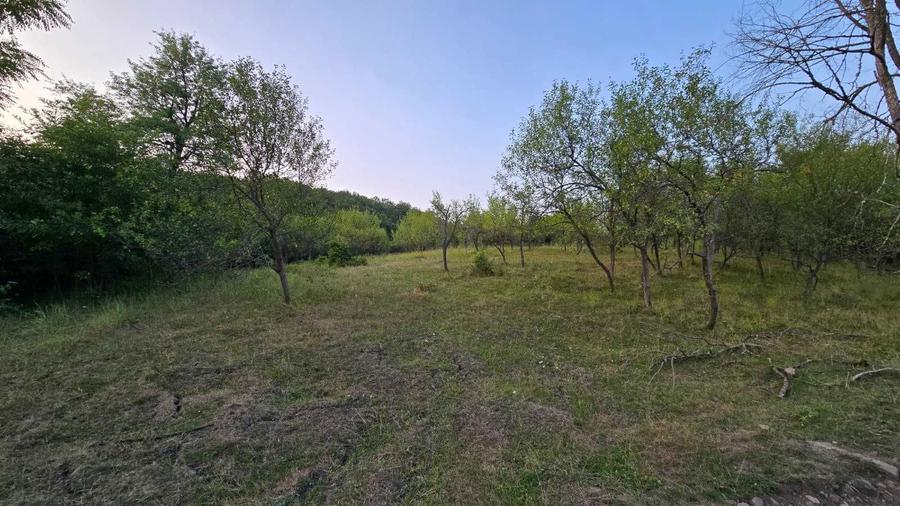 Vand teren in loc. Ulies, com. Gurasada, jud. Hunedoara - 3