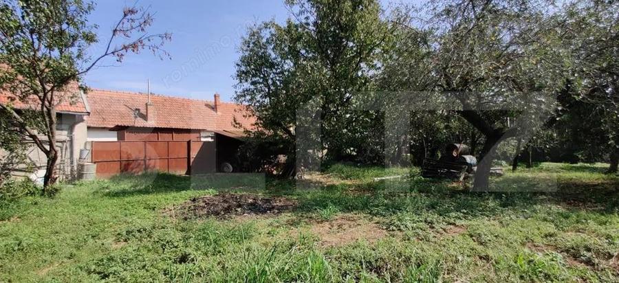 Casa mare cu gospodarie completa Belin?, jude?ul Timi? teren 4.900 mp - 12