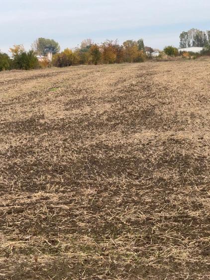 Loturi in rate Com. Cornetu-Jud. Ilfov - 2