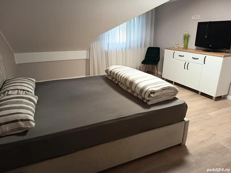 Mosie de vanzare in Plesoiu, Olt, direct de la proprietar - 9