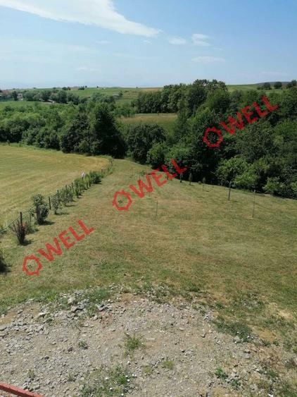 Teren intravilan de vânzare în Calnic! - 9