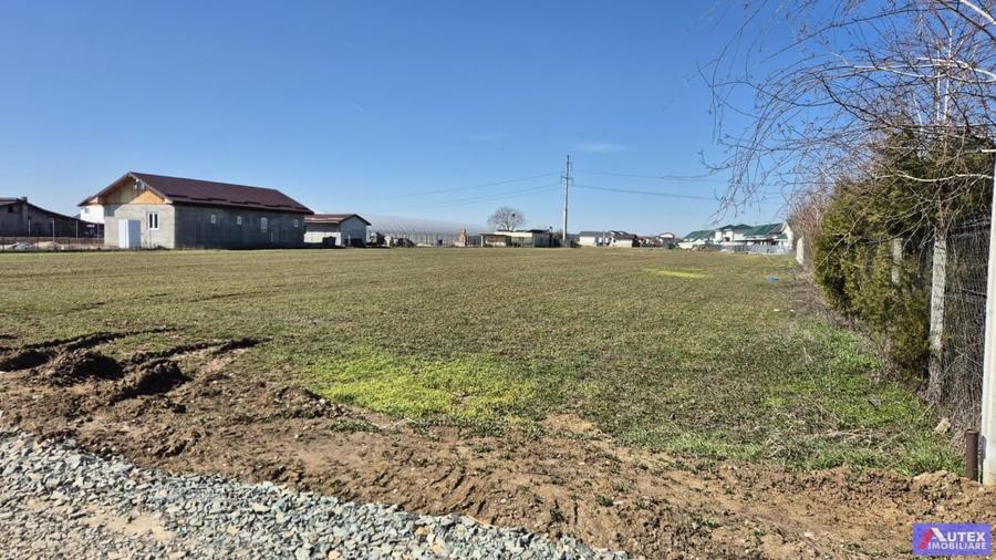 Teren de Casa 2480 mp cu utilitati- Oras Magurele - 4