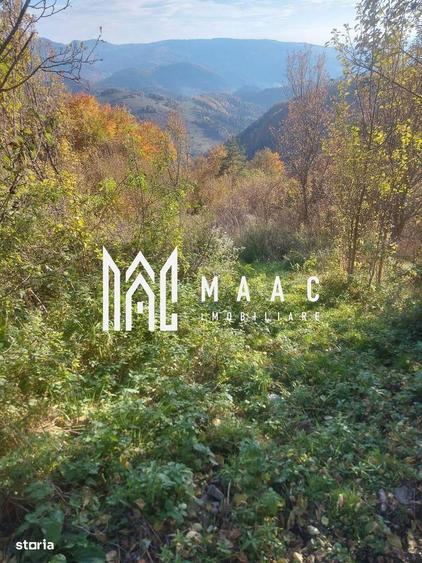 Super oferta 35000 teren in Muntii Apuseni - 1