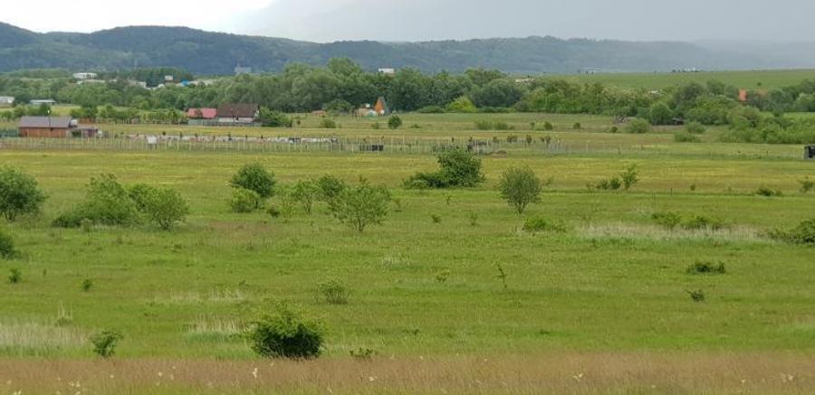 Vand teren arabil 1000 mp.,  Selimbar in zona Troita pe str. Aleea Monumentului  - 7