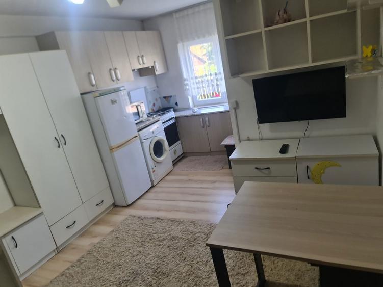 Inchiriez garsonieara parter nufarul - 3