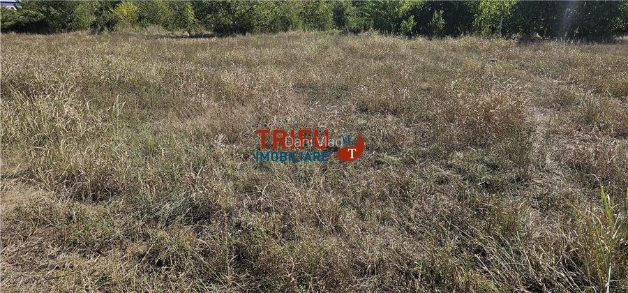 Teren de vanzare cu toate utilitatile in Dealul Furcilor Teren de vanzare cu toate utilitatile in Dealul Furcilor