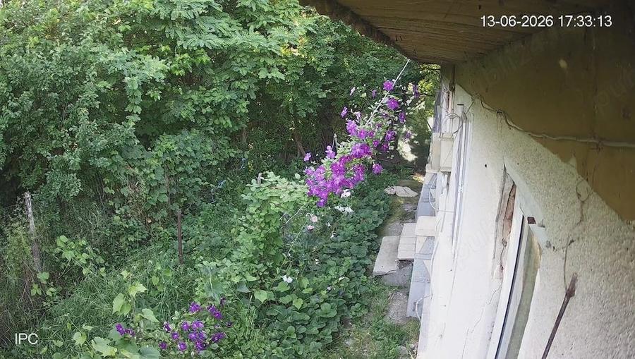 Casa curte si cca 5000mp la 50km de Bucuresti - 8