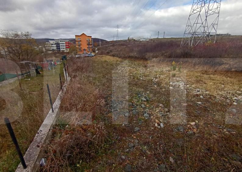 Teren de investitie 4642 mp in zona Strazii Cometei din Baci - 5