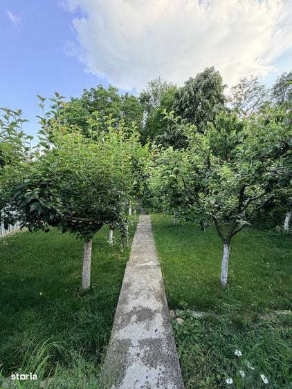 Casa cu piscina si gradina de vis in centrul Domnestiului - 2