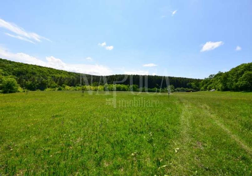 Teren intravilan pentru constructii de vanzare in Chinteni - 3