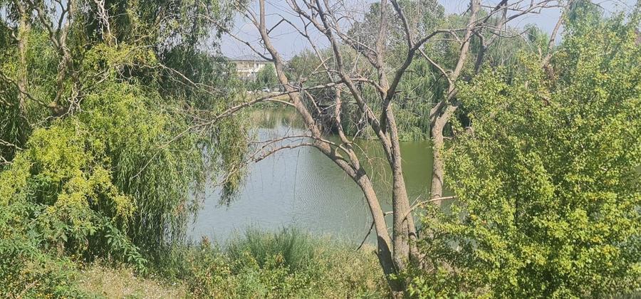 Teren Corbeanca Tamasi vsv de Paradisul verde 16000 mp deschidere lac - 1