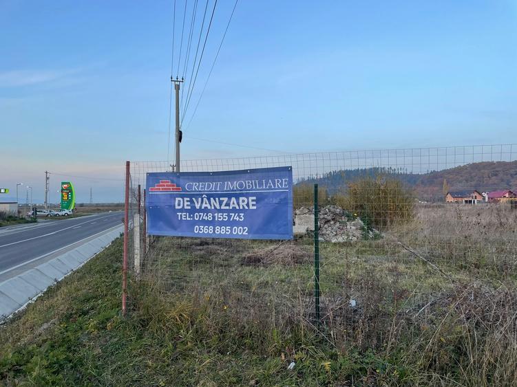 Teren DN73 Rasnov 1441mp! - 4