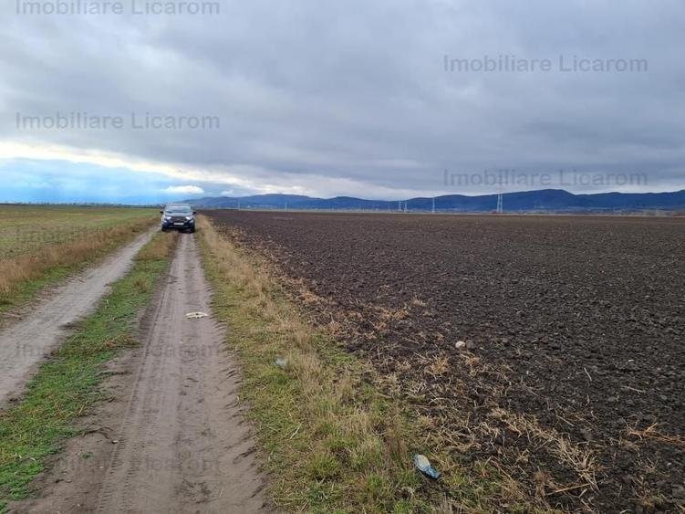 Teren Agricol 2,9 HA,intre Cristian si Vulcan/teren SPORT - 1
