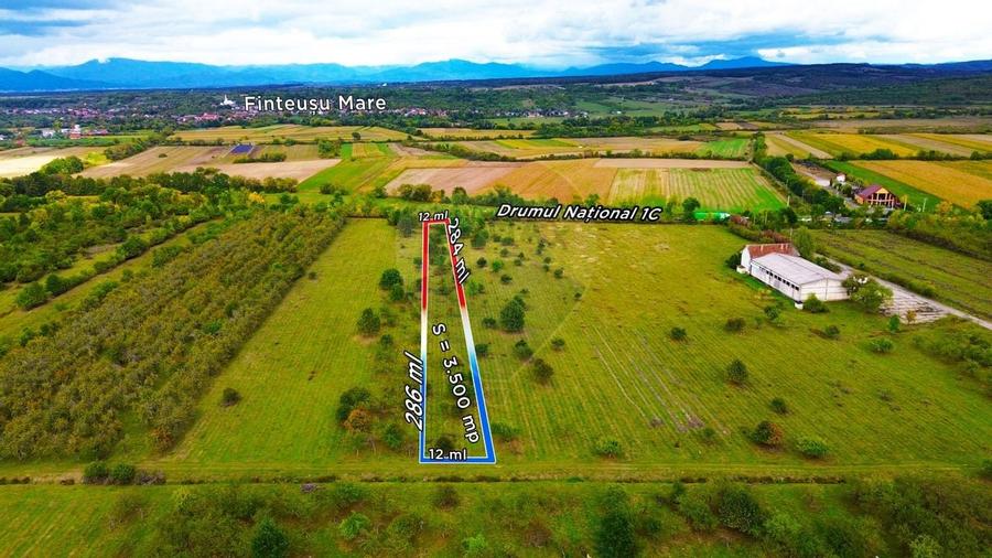 Teren Intravilan de Vanzare la Drum European - 2
