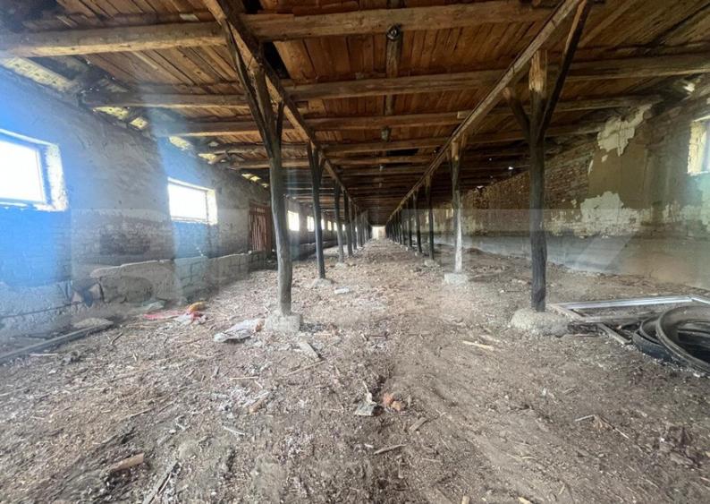 Ferma cu 3000 mp de teren si o constructie de 580 mp - 1