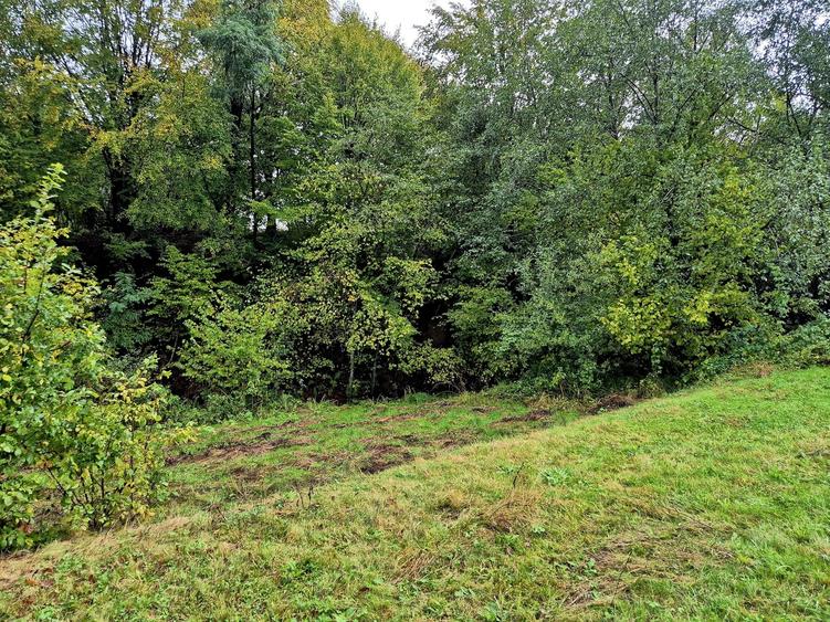 Comision 0%, teren extravilan 12497 mp Sinca Noua - 16