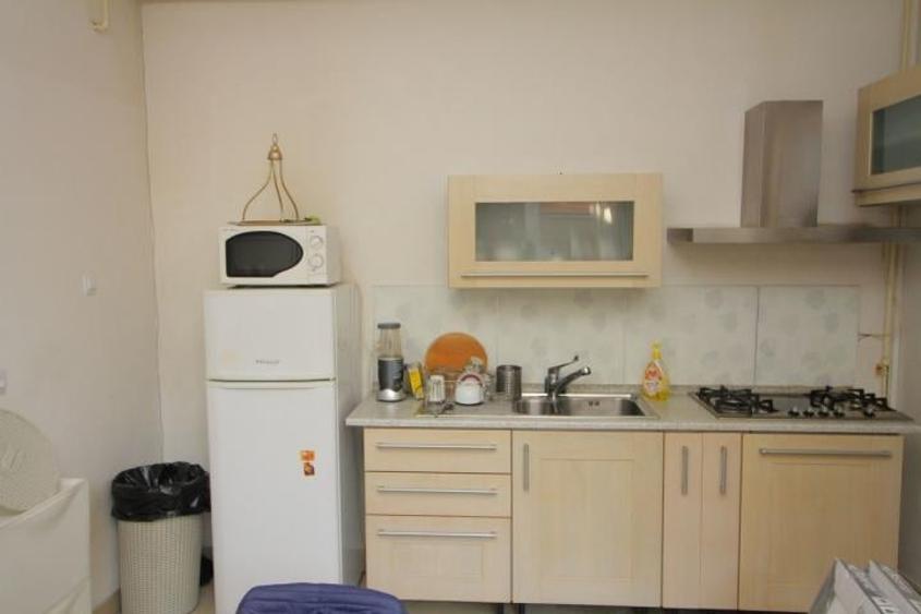 Inchirieri Case / Vile Barbu Vacarescu - 10