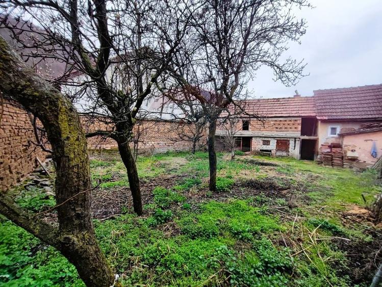 Casă cu farmec tradițional în Săliște – 1.000 mp teren, priveliște! - 17