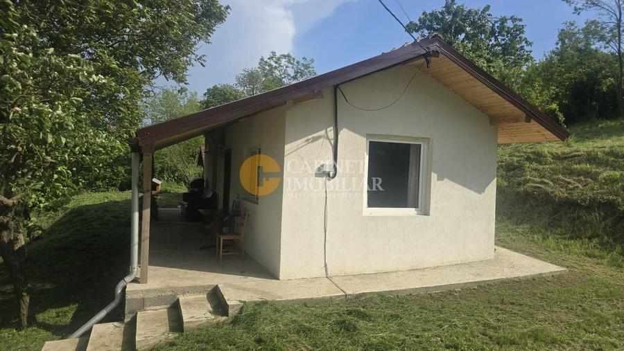 Oază de liniște și natură! Casă  cu 2 heleșteie și pârâu în curte – Probota - 2