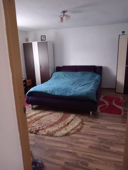 Vand casa Zimandu Nou - 7