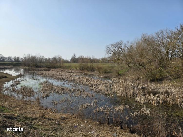 Vand Balta si teren 3 ha Otvesti - 6