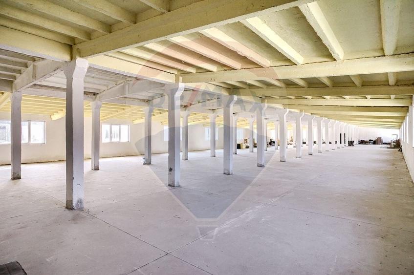 Hala de inchiriat 1000 mp, Calea Bodrogului - 4