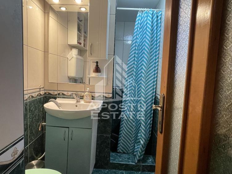 Casa cu trei apartamente zona Garii - 22