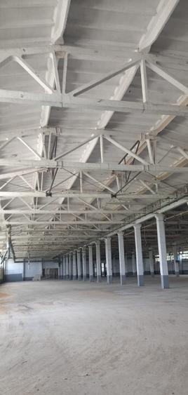 Activ de vanzare la 10 Km de Municipiul Braila ,3 Km de Dunare - 1