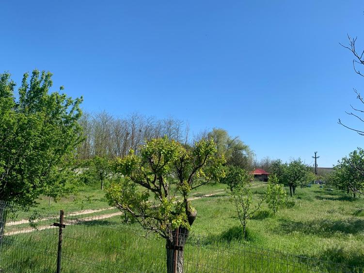 Fermă de vânzare - DN3 - 84m deschidere - 26