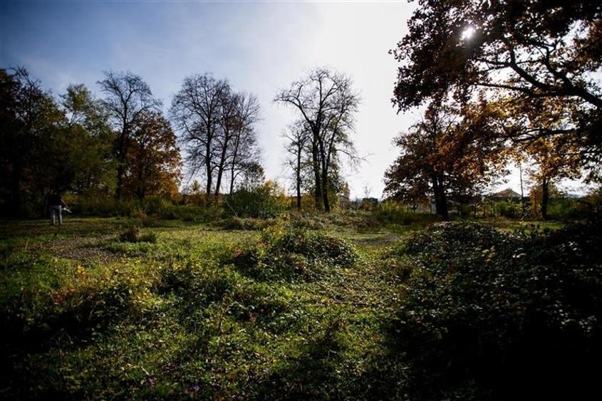 De vanzare Domeniu Baronial SAT CIL - 7