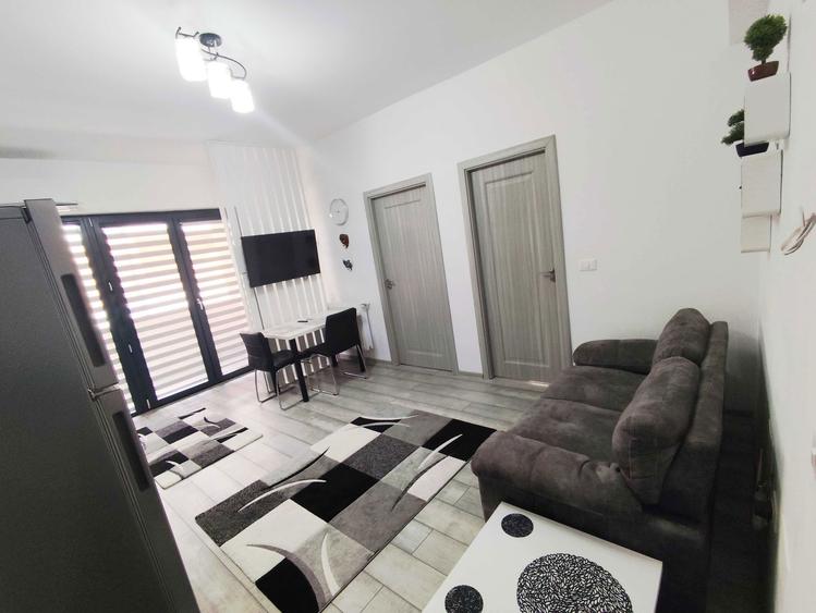 Vand apartament Blv Dem Radulescu - 6