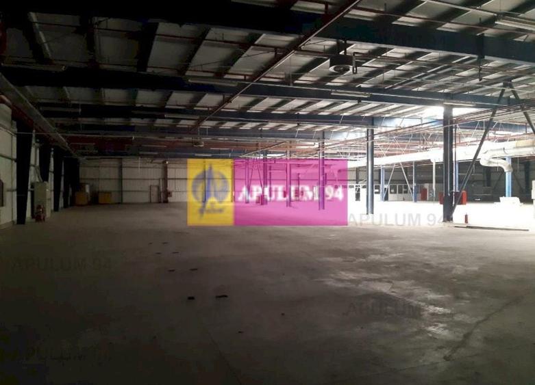 Spatiu Logistic langa Bucuresti Hala 5000 mp - 36