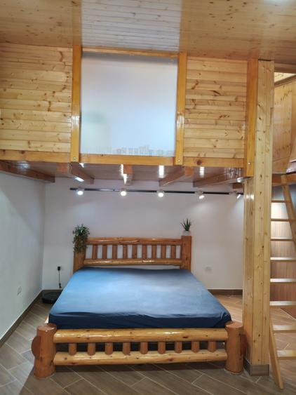 Imobil format din 2 corpuri individuale,un singur proprietar, zona Iancului - 15