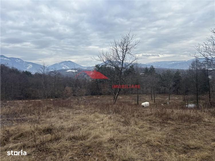 Teren cu 2 izvoare, Prundul Bargaului - 6