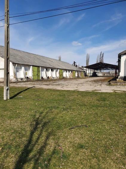 De vanzare baza de cereale cca 40.000 mp, intravinan, Oras Vanju Mare - 4