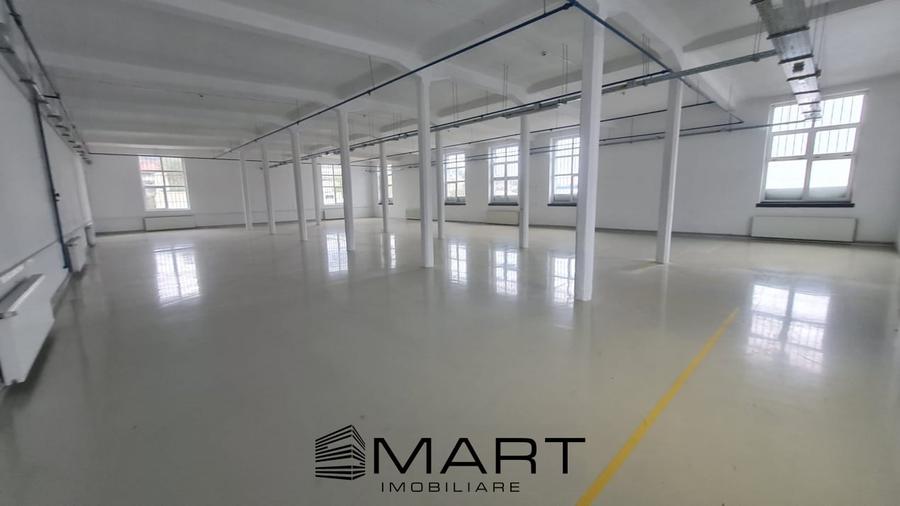 Spatii de inchiriat &acirc; Depozitare | Productie | Birouri Cisnadie - 1