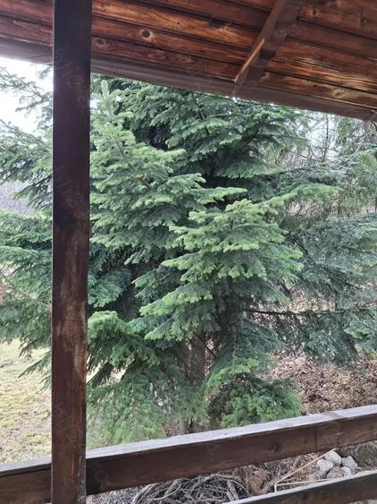 Casa de inchiriat Breaza de Sus in regim hotelier - 10